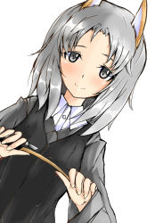 Rule 34 | 10s, 1girl, animal ears, blush, brave witches, edytha rossmann, emerada nano, fox ears, green eyes, holding, long hair, long sleeves, looking at viewer, military, military uniform, pointer, silver hair, simple background, smile, solo, strike witches, uniform, white background, world witches series