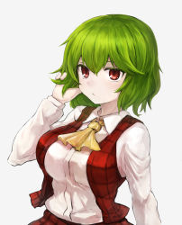Rule 34 | 1girl, ascot, breasts, commentary request, green hair, grey background, hair between eyes, hand up, kazami yuuka, large breasts, long sleeves, red eyes, red skirt, red vest, shirt, short hair, simple background, skirt, skirt set, solo, tac, touhou, upper body, vest, white shirt, yellow ascot