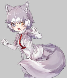Rule 34 | 1girl, :3, animal ear fluff, animal ears, blue eyes, blush, claw pose, cowboy shot, dog (mixed breed) (kemono friends), dog ears, dog girl, dog tail, elbow gloves, extra ears, fang, fur trim, gloves, grey background, grey hair, grey jacket, grey skirt, harness, heterochromia, jacket, kemono friends, multicolored hair, nyifu, open mouth, pleated skirt, scarf, short hair, short sleeves, simple background, skirt, solo, tail, vest, white gloves, white hair, white jacket, white scarf, white vest, yellow eyes