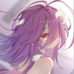 Rule 34 | 1girl, antenna hair, bare back, bare shoulders, blurry, commentary request, crying, crying with eyes open, depth of field, from behind, hair between eyes, hair over one eye, head tilt, highres, long hair, looking at viewer, looking back, luckyes, no game no life, orange eyes, purple hair, shuvi (no game no life), sidelocks, simple background, solo, tears, topless, wind