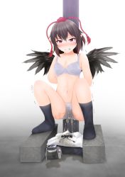 Rule 34 | 1girl, angry, arms behind back, bare shoulders, black shirt, black socks, black wings, blush, bra, breasts, brown hair, camera, cleavage, clenched teeth, collarbone, drooling, embarrassed, feathered wings, female focus, floral print, full body, gokiburi no dashi, gradient background, grey bra, grey pants, hat, highres, looking at viewer, navel, nose blush, panties, pants, pee, peeing, peeing self, pointy ears, pole, red eyes, red hat, saliva, shameimaru aya, shirt, short hair, sidelocks, simple background, skirt, small breasts, socks, solo, squatting, stomach, sweat, tears, teeth, tokin hat, touhou, trembling, underwear, underwear only, unworn shirt, unworn skirt, v-shaped eyebrows, wet, wet clothes, wet panties, white background, white shirt, wings