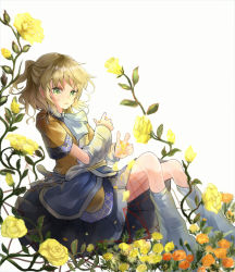 Rule 34 | 1girl, arm warmers, black skirt, blonde hair, brown shirt, commentary request, feet out of frame, flower, green eyes, half updo, highres, leg warmers, looking at viewer, looking to the side, mizuhashi parsee, open mouth, orange flower, plant, pointy ears, rose, sash, scarf, shirt, short hair, short ponytail, short sleeves, skirt, solo, touhou, vines, white background, white legwear, white sash, white scarf, yellow flower, zhu xiang