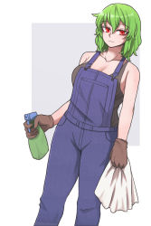 Rule 34 | absurdres, bottle, breasts, cleavage, gloves, green hair, highres, kazami yuuka, mata (matasoup), overalls, red eyes, spray bottle, touhou, towel