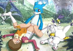 Rule 34 | 2boys, 2girls, after anal, aftersex, bestiality, brown eyes, brown hair, clothed sex, cum, cum in ass, cum overflow, cum pool, day, digimon, digimon (creature), digimon adventure 02, double penetration, elbow gloves, feet, fellatio, forest, gloves, grabbing, group sex, leg up, lying, m legs, missionary, multiple boys, multiple girls, nature, no shoes, on back, oral, outdoors, patamon, penis, pussy juice, sex, socks, soles, sweat, tail raised, tailmon, the dark mangaka, toei animation, toes, uncensored, v-mon, vaginal, watermark, white socks, yagami hikari
