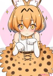 Rule 34 | 10s, 1girl, animal ears, artist name, blush, brown eyes, closed mouth, elbow gloves, gloves, kemono friends, looking at viewer, multicolored clothes, multicolored gloves, orange gloves, orange neckwear, orange skirt, serval (kemono friends), short hair, skirt, solo, sparkle, tansan daisuki, white gloves