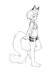 Rule 34 | 1girl, ahoge, animal ear fluff, animal ears, barefoot, bike shorts, blush, closed mouth, fox ears, fox girl, fox girl (jaco), fox tail, from side, full body, greyscale, holding tail, jaco, leg up, long hair, looking at viewer, looking to the side, monochrome, off-shoulder shirt, off shoulder, original, see-through, shirt, short hair with long locks, short shorts, shorts, sidelocks, simple background, smile, solo, standing, standing on one leg, tail, thick eyebrows, white background