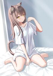 Rule 34 | 1girl, absurdres, animal ear fluff, animal ears, bare legs, barefoot, between legs, brown hair, cat ears, cat girl, cat tail, full body, hand between legs, highres, light smile, lin (rlin202), long hair, no pants, off shoulder, on bed, original, oversized clothes, oversized shirt, shirt, shirt hold, short sleeves, sitting, tail, wariza, white shirt, yellow eyes