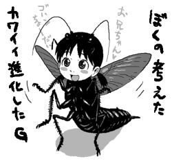 Rule 34 | 1girl, 4n, antennae, arthropod girl, black hair, blush, blush stickers, bug, lowres, monochrome, monster girl, multi leg, open mouth, simple background, smile, solo, translation request, twintails, white background, wings