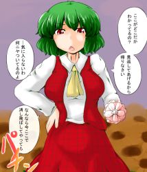 Rule 34 | 1girl, bad id, bad pixiv id, female focus, flower, green hair, hand on own hip, kazami yuuka, looking at viewer, open mouth, red eyes, short hair, skirt, solo, sukedai, sunflower, touhou, translation request, umbrella, vest