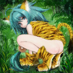 Rule 34 | 1girl, ahoge, animal ears, animal hands, animal print, aqua eyes, aqua hair, arm support, ass, butt crack, cham cham, face, gloves, grass, long hair, looking at viewer, looking back, no panties, paw gloves, paw shoes, ponsuke (pon00000), samurai spirits, shoes, solo, squatting, tail, tiger print, very long hair