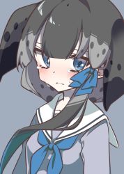 Rule 34 | 1girl, adapted costume, blowhole, blue eyes, blush, bow, collarbone, commentary request, crying, crying with eyes open, frown, grey hair, hair bow, highres, kemono friends, long sleeves, multicolored hair, narwhal (kemono friends), neckerchief, petit ramune, portrait, sailor collar, short hair, short hair with long locks, solo, tears