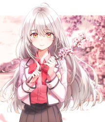 Rule 34 | 1girl, ahoge, black skirt, blush, cherry blossoms, commentary request, highres, jacket, long hair, long sleeves, looking at viewer, original, pink shirt, pleated skirt, rangu, red eyes, shirt, silver hair, skirt, smile, white jacket