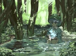 Rule 34 | 1girl, blue eyes, blue hair, blue jacket, blue skirt, book, boots, bush, cabbie hat, dappled sunlight, forest, hair bobbles, hair ornament, hat, holding, holding book, jacket, kawashiro nitori, light rays, long sleeves, matching hair/eyes, nature, open book, partially submerged, reading, reflection, ripples, riverbank, rock, rubber boots, skirt, smile, solo, stream, sunlight, touhou, tree, tree shade, two side up, uwa, water