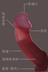 Rule 34 | absurdres, bad id, bad pixiv id, brown background, chinese commentary, chinese text, close-up, commentary request, disembodied penis, erection, highres, male focus, original, penis, qizhu, simple background, solo focus, translated, uncensored, veins, veiny penis