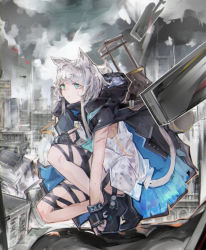 Rule 34 | 1girl, animal ears, arknights, black footwear, black jacket, cat ears, cat girl, cat tail, cityscape, commentary, dress, full body, green eyes, grey hair, highres, jacket, jumbowhopper, open clothes, open jacket, outdoors, rosmontis (arknights), scar, scar on arm, short hair with long locks, solo, squatting, strap, tail, white dress