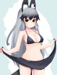 Rule 34 | 1girl, :/, animal ear fluff, animal ears, berusa (berutoo), bikini, blush, breasts, clothes lift, fox ears, fox tail, grey background, grey hair, highres, kemono friends, large breasts, lifting own clothes, long hair, looking at viewer, navel, orange eyes, silver fox (kemono friends), simple background, skirt, skirt lift, solo, swimsuit, tail, very long hair