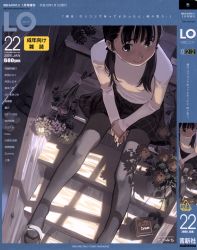 Rule 34 | 1girl, blush, comic lo, cover, cover page, flat chest, highres, long hair, original, pantyhose, sitting, sitting on stairs, skirt, solo, stairs, takamichi, twintails, volume22