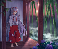 Rule 34 | 1girl, bamboo, bamboo forest, barefoot, bow, cigarette, flower, forest, fujiwara no mokou, hachimitsu ame (phoenix), hair bow, hair ribbon, hands in pockets, hydrangea, juliet sleeves, leaning, long hair, long sleeves, nature, pants, puffy sleeves, red eyes, ribbon, shirt, silver hair, solo, standing, sunset, suspenders, touhou, tress ribbon, veranda, very long hair, wall