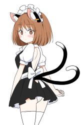 Rule 34 | 1girl, :/, absurdres, alternate costume, animal ear fluff, animal ears, ass, backless outfit, black dress, blush, breasts, brown eyes, brown hair, cat ears, cat tail, chen, dress, earrings, enmaided, from behind, highres, jewelry, maid, maid headdress, medium breasts, multiple tails, nekomata, panties, pantyshot, shiisuu rattamu, short hair, simple background, single earring, solo, tail, thighhighs, touhou, two tails, underwear, white background
