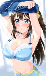 Rule 34 | 1girl, armpits, arms up, berisuno (beriberi0707), blue background, blue bow, blue bra, blue eyes, blue panties, blue pants, blue shirt, blush, bow, bow bra, bra, breast drop, breasts, brown hair, cleavage, clothes lift, collarbone, commentary request, cowboy shot, crossed arms, groin, hair bow, half updo, highres, lace, lace-trimmed bra, lace trim, large breasts, long hair, long sleeves, looking away, love live!, love live! nijigasaki high school idol club, motion lines, navel, osaka shizuku, panties, pants, panty peek, parted lips, see-through silhouette, shirt, shirt lift, sidelocks, solo, sparkle, standing, stomach, strap gap, sweat, two-tone background, underwear, undressing, white background, yellow bow