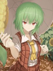 Rule 34 | 1girl, absurdres, ascot, bad id, bad twitter id, breasts, closed mouth, collared shirt, cowboy shot, furiruno, green hair, hair between eyes, highres, holding, holding umbrella, kazami yuuka, medium breasts, open clothes, open vest, outdoors, parasol, plaid, plaid skirt, reaching, reaching towards viewer, red eyes, shirt, short hair, short sleeves, skirt, skirt set, smile, solo, standing, touhou, umbrella, v-shaped eyebrows, vest, white shirt