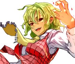 Rule 34 | 1girl, action, ascot, bad id, bad pixiv id, chirigami-san, female focus, green hair, happy, kazami yuuka, looking at viewer, plaid, plaid skirt, plaid vest, red eyes, short hair, skirt, skirt set, smile, solo, touhou, upper body, vest