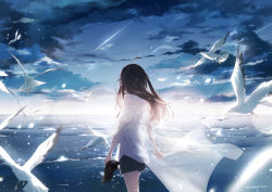 Rule 34 | 1girl, absurdres, ahoge, bird, black shorts, brown hair, cloud, commentary request, facing away, floating cape, highres, holding, holding shoes, hood, hooded jacket, horizon, jacket, lens flare, long hair, medium hair, meteor, ocean, original, scenery, seagull, see-through, sena tea29, shoes, shorts, signature, sky, sleeves rolled up, solo, standing, star (sky), white bird, white jacket