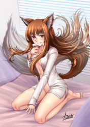 Rule 34 | 1girl, adsouto, animal ears, barefoot, bed, blush, bottomless, breasts, brown hair, cleavage, comic, fang, grin, highres, holo, long hair, looking at viewer, medium breasts, navel, no bra, no pants, open clothes, open shirt, orange hair, red eyes, shirt, smile, solo, spice and wolf, tail, white shirt, wolf ears, wolf girl, wolf tail