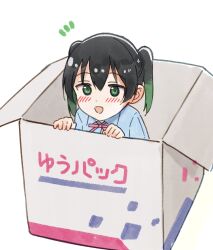 Rule 34 | 1girl, absurdres, black hair, blue shirt, blush, box, collared shirt, commentary, gradient hair, green eyes, green hair, hair between eyes, highres, in box, in container, looking at viewer, love live!, love live! nijigasaki high school idol club, multicolored hair, neck ribbon, nijigasaki academy school uniform, notice lines, open mouth, peeking, pink ribbon, ribbon, school uniform, shirt, sidelocks, solo, summer uniform, takasaki yu, tata (tataice), twintails, upper body, white background
