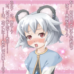 Rule 34 | 1girl, animal ears, blush, confession, female focus, grey hair, jewelry, marujin, mouse ears, nazrin, pendant, pov, red eyes, solo, touhou, translated