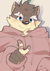 Rule 34 | 1boy, absurdres, animal ears, animal nose, aqua hair, blush, brown fur, brown hair, chest tuft, closed mouth, dog boy, dog ears, eyebrow cut, facial scar, fangs, furry, furry male, green eyes, grey background, highres, hood, hoodie, long sleeves, male focus, moritaka (housamo), multicolored hair, pink hoodie, scar, scar on cheek, scar on face, shadow, shiro choko, simple background, smile, snout, solo, thick eyebrows, tokyo houkago summoners, two-tone fur, two-tone hair, upper body, yellow fur