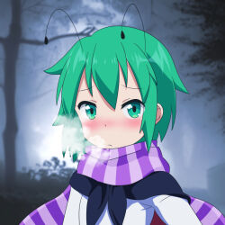Rule 34 | 1girl, anime coloring, antennae, black cape, blurry, blurry background, blush, breath, cape, cato (monocatienus), closed mouth, commentary request, flat chest, frown, green eyes, green hair, highres, long sleeves, looking at viewer, nose blush, purple scarf, red cape, scarf, shirt, short hair, solo, striped clothes, striped scarf, touhou, tree, two-sided cape, two-sided fabric, white shirt, wriggle nightbug