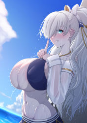 Rule 34 | 1girl, anastasia (fate), anastasia (swimsuit archer) (fate), anastasia (swimsuit archer) (third ascension) (fate), areola slip, bare shoulders, bikini, blue bikini, blue eyes, blue skirt, blue sky, blush, bow, breasts, cleavage, collarbone, fate/grand order, fate (series), grin, hair bow, hair over one eye, highres, huge breasts, index finger raised, jewelry, kemurin, long hair, long sleeves, looking at viewer, miniskirt, navel, necklace, ocean, ponytail, puffy long sleeves, puffy sleeves, silver hair, skirt, sky, smile, solo, swimsuit, very long hair, wading, wet
