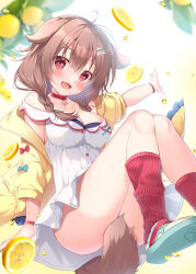 Rule 34 | 1girl, animal collar, animal ears, bare shoulders, blush, bone hair ornament, bracelet, braid, breasts, brown eyes, brown hair, cartoon bone, cleavage, collar, dog ears, dog girl, dog tail, dress, hair between eyes, hair ornament, highres, hololive, inugami korone, inugami korone (1st costume), jacket, jewelry, large breasts, long hair, loose socks, low twin braids, mikeou, off shoulder, open clothes, open jacket, open mouth, red collar, red socks, shoes, short dress, sleeveless, sleeveless dress, smile, sneakers, socks, solo, tail, twin braids, virtual youtuber, white dress, yellow jacket