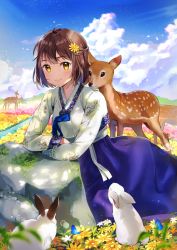 Rule 34 | 1girl, ahoge, animal, arm rest, blue sky, blush, brown hair, cherim, closed mouth, cloud, cloudy sky, commentary request, day, deer, field, flower, flower field, hair flower, hair ornament, hanbok, highres, korean clothes, light particles, long sleeves, looking at viewer, meadow, mole, mole under eye, original, outdoors, rabbit, rock, short hair, sky, smile, solo, tareme, yellow eyes, yellow flower