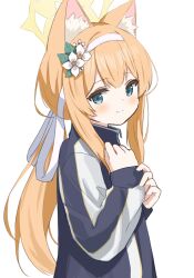 Rule 34 | 1girl, animal ear fluff, animal ears, black jacket, blue archive, blue eyes, blush, closed mouth, cram960, flower, from side, hair flower, hair ornament, hair ribbon, hairband, halo, hands up, headband, highres, jacket, long sleeves, looking at viewer, mari (blue archive), mari (track) (blue archive), orange hair, ponytail, ribbon, simple background, sleeves past wrists, smile, solo, track jacket, upper body, white background, white flower, white hairband