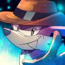 Rule 34 | 1boy, brown hat, fang, fang the sniper, furry, furry male, hand up, hat, highres, looking at viewer, plus2sf, portrait, solo, sonic (series)