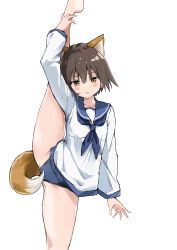 Rule 34 | 1girl, :o, absurdres, animal ears, blue neckerchief, blue one-piece swimsuit, blue sailor collar, brown eyes, brown hair, collarbone, commentary, cowboy shot, dog ears, dog tail, dot nose, highres, jitome, looking at viewer, miyafuji yoshika, neckerchief, one-piece swimsuit, rauto, sailor collar, sailor shirt, school swimsuit, shirt, short hair, solo, split, standing, standing on one leg, standing split, strike witches, sweatdrop, swimsuit, swimsuit under clothes, tail, transparent background, white shirt, world witches series, yamakawa michiko