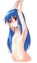 Rule 34 | 1girl, armpits, arms up, bdsm, blue hair, bondage, bound, bound wrists, flat chest, highres, hinanawi tenshi, long hair, looking at viewer, naegi (naegidokoro), navel, nipples, nude, red eyes, simple background, sketch, solo, touhou, white background