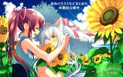 Rule 34 | 2girls, animal ears, ayano riko, bare arms, blue eyes, blue sky, blurry, blush, cat ears, catulus syndrome, closed eyes, cloud, commentary request, contrail, covered mouth, day, depth of field, facing another, field, flower, flower field, flower over mouth, hair between eyes, hair ribbon, hand on another&#039;s head, hat, hat ribbon, heterochromia, highres, holding, holding flower, long hair, looking at another, multiple girls, official art, open mouth, outdoors, ponytail, profile, red hair, ribbon, shinonome neko-tarou, shirakaba yuki, sky, sleeveless, straw hat, sun hat, sunflower, sunflower field, translation request, upper body, white hair, yellow eyes, yuri