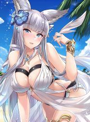 Rule 34 | 1girl, animal ears, bare arms, bare shoulders, beach, bikini, blue eyes, blue flower, blue sky, blunt bangs, blush, bracer, branch, breasts, cleavage, cloud, collarbone, commentary request, day, erune, flower, gem, glint, granblue fantasy, grey hair, hair flower, hair ornament, head tilt, heart, hibiscus, highres, holding, kazami chiu, korwa, korwa (summer) (granblue fantasy), large breasts, leaning forward, light smile, long hair, looking at viewer, o-ring, o-ring bikini, ocean, outdoors, palm tree, parted lips, quill, sand, shiny skin, sidelocks, sky, solo, sparkle, standing, swimsuit, thighlet, tree, very long hair, white bikini