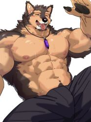 Rule 34 | 1boy, abs, animal ears, bara, bare pectorals, black pants, claws, closed eyes, commentary request, dog boy, dog ears, furry, furry male, gem, heavy breathing, highres, jewelry, live a hero, male focus, necklace, omochi kuitai, pants, pawpads, pectorals, pubraseer (live a hero), tongue, tongue out, topless male, white background