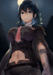 Rule 34 | 1girl, blue eyes, breasts, byleth (female) (fire emblem), byleth (fire emblem), fire emblem, fire emblem: three houses, forest, from below, hair between eyes, haru (nakajou-28), highres, large breasts, looking at viewer, medium hair, midriff, nature, night, night sky, nintendo, outdoors, shorts, sky, solo