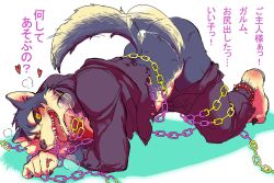 Rule 34 | 1boy, animal ears, ankle strap, anklet, ass, black jacket, blue fur, blush, body fur, canine tail, chain, claws, fangs, furry, furry male, gamma-g, garmr (housamo), gold, gold chain, happy, heart, jacket, jewelry, male focus, open clothes, open jacket, open mouth, pants, pants around leg, pants around thighs, pink chain, smile, snout, spiked anklet, spikes, tail, tail wagging, teeth, tokyo houkago summoners, tongue, tongue out, top-down bottom-up, torn clothes, torn jacket, torn legwear, torn sleeves, translation request, two-tone fur, white fur, wolf boy, wolf ears, wolf tail, yellow eyes