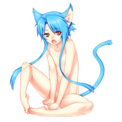 Rule 34 | 1girl, animal ears, barefoot, blue hair, brown eyes, cat ears, cat tail, feet, flat chest, highres, long hair, nude, open mouth, original, simple background, sitting, solo, tail, toes, tsuki tokage
