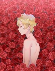 Rule 34 | 1boy, blonde hair, bomhat, closed mouth, commentary, eugeo, floral background, flower, from side, highres, male focus, nude, parted lips, red flower, red rose, rose, short hair, solo, sword art online, upper body