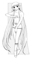 Rule 34 | 00s, breasts, chii, chobits, flat chest, greyscale, long hair, monochrome, no shirt, solo, topless, very long hair
