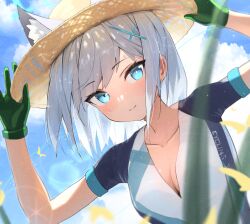 Rule 34 | 1girl, animal ear fluff, animal ears, bike jersey, blue archive, blue eyes, farming, gloves, green gloves, grey hair, heterochromia, hidulume, highres, looking at viewer, shiroko (blue archive), shiroko (cycling) (blue archive), wolf ears