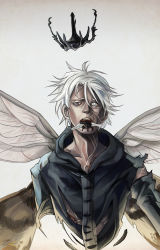 Rule 34 | 1boy, blue eyes, bug, crest worm, dated, fate/zero, fate (series), fenixsu, heterochromia, hood, hoodie, bug, insect wings, male focus, matou kariya, monster boy, serah boey, signature, solo, torn clothes, white eyes, white hair, wings, worm