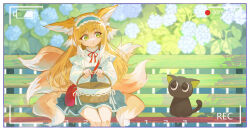 Rule 34 | 1girl, animal ears, arknights, bare legs, basket, battery indicator, bench, black cat, blonde hair, blue flower, blue hairband, blue skirt, blurry, blurry background, border, bow, bowtie, cat, commentary request, cowboy shot, flower, fox ears, fox girl, frilled hairband, frills, green eyes, hairband, head tilt, heixiu, high-waist skirt, highres, holding, holding basket, kitsune, kyuubi, long hair, looking at another, luo xiaohei zhanji, multiple tails, o o, official alternate costume, outdoors, recording, red bag, red bow, red bowtie, round bag, shirt, skirt, suzuran (arknights), suzuran (spring praise) (arknights), tail, viewfinder, white hair, white shirt, yyoumeng